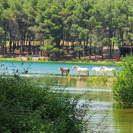 제리카 Casa Junto Al Lago 빌라 외부 사진