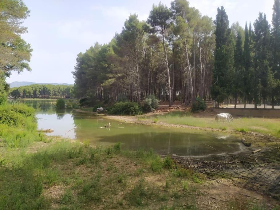 제리카 Casa Junto Al Lago 빌라 외부 사진